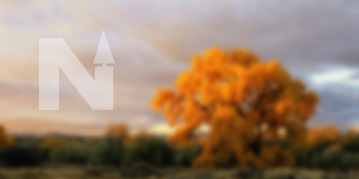 Casket Dimension Chart Northern Casket Specifications